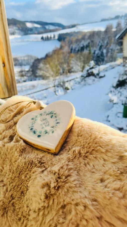 Waldapart Willingen Willingen  Zewnętrze zdjęcie